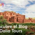 Discover the Dalia Tours Blog