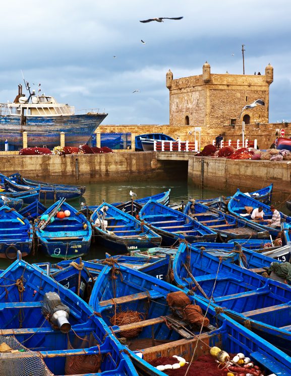 Excursion Esaouira dlia tours